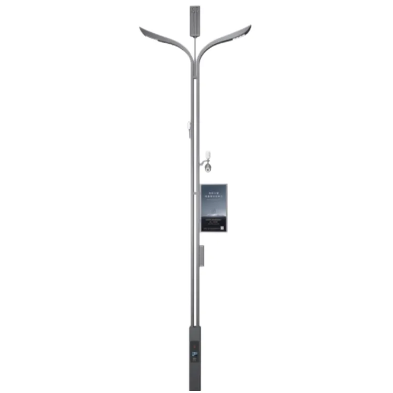 Illuminazione Stradale Smart City